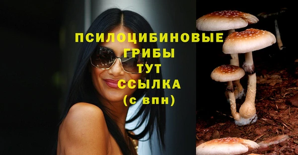 MDMA Беломорск
