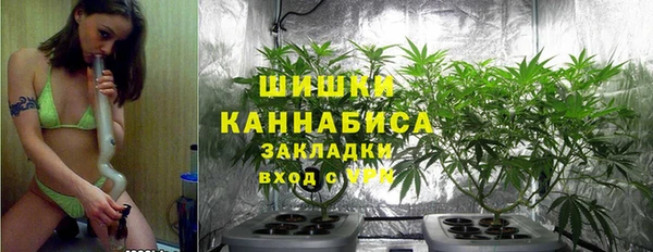 стаф Белокуриха