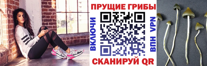 Галлюциногенные грибы Cubensis  Воскресенск 